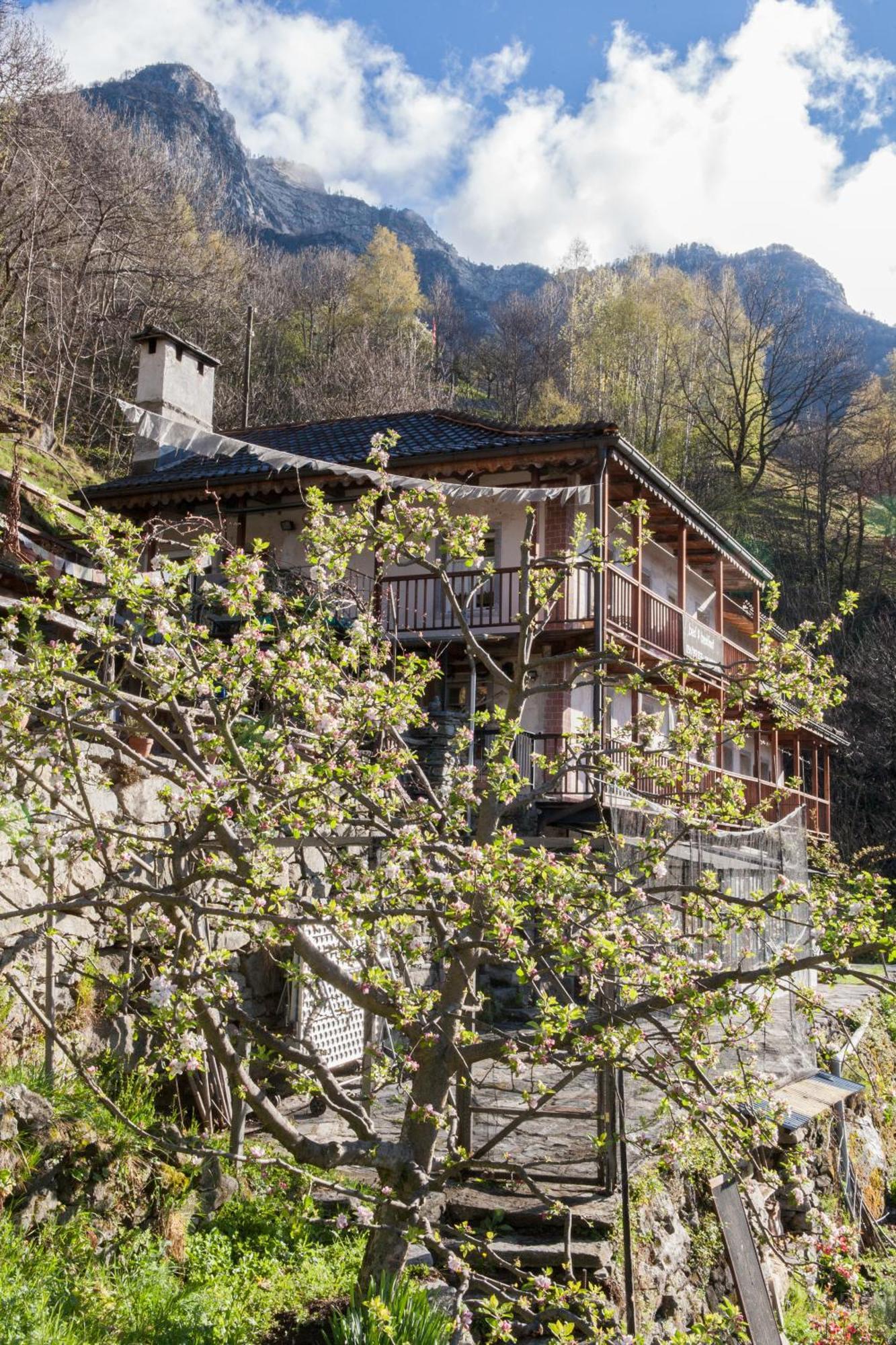 Bed And Breakfast Da Toldo Russo Eksteriør bilde
